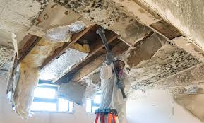 Best Real Estate Mold Inspection  in Silver Lake, OH